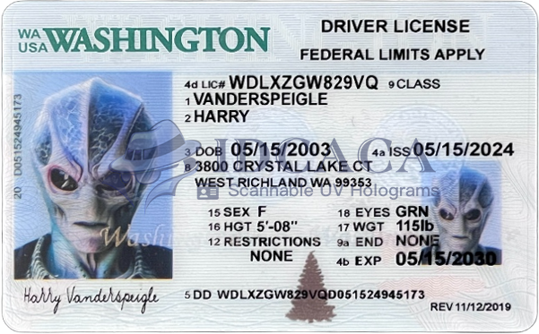 ID cards with security features